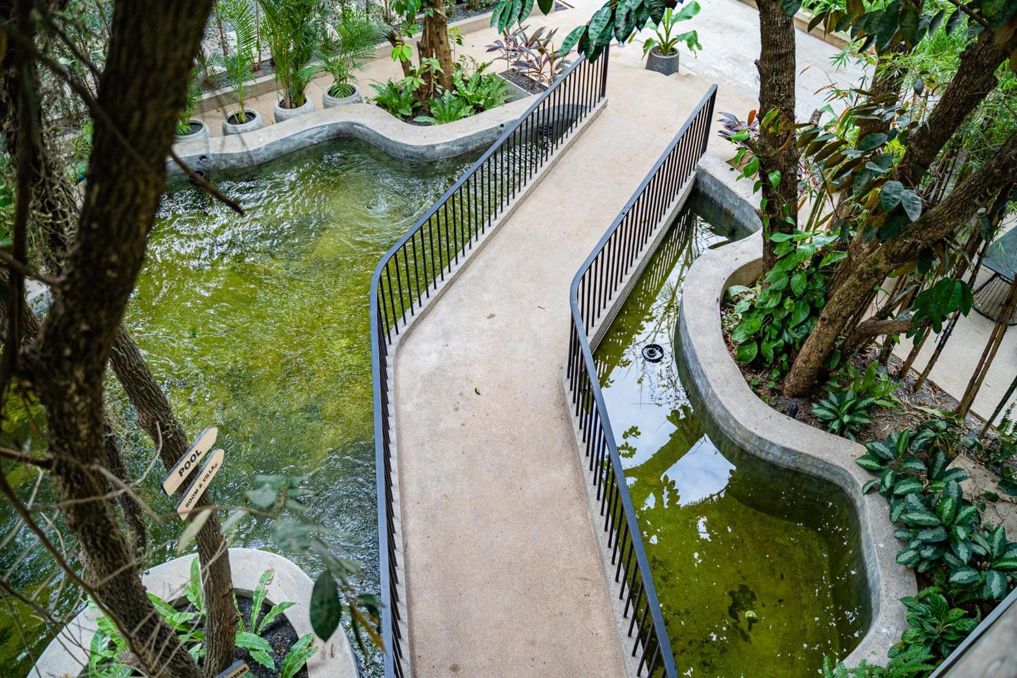 Rainforest Hotel By Nsun Kampot Εξωτερικό φωτογραφία